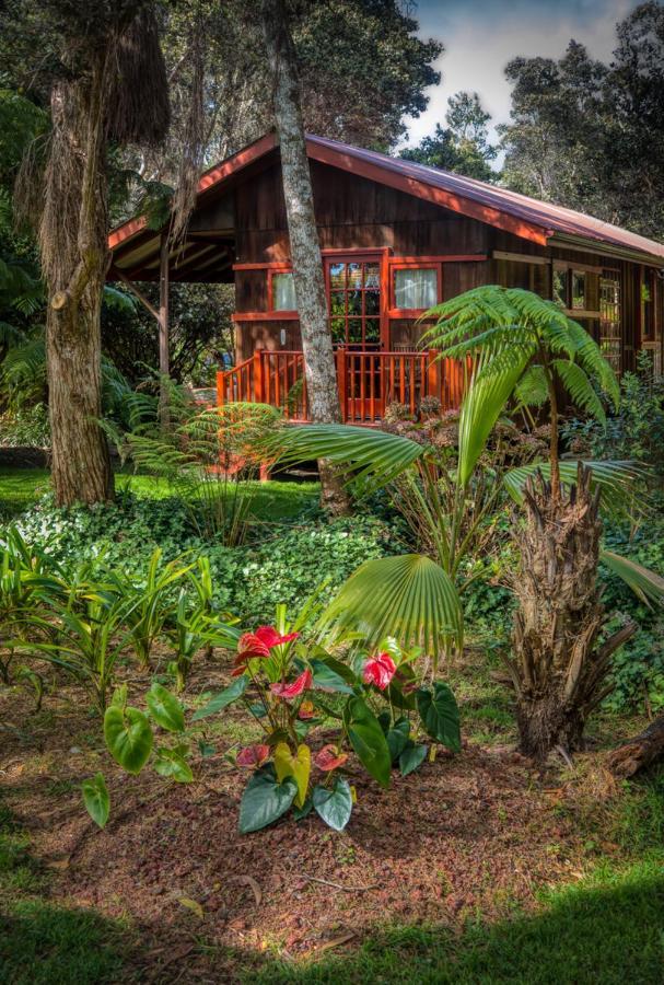 Crater Rim Cabin Hotell Volcano Exteriör bild